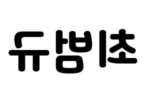 KPOP idol TXT  범규 (Choi Beom-gyu, Beomgyu) Printable Hangul name fan sign & fan board resources Reversed