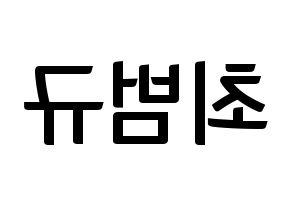 KPOP idol TXT  범규 (Choi Beom-gyu, Beomgyu) Printable Hangul name fan sign, fanboard resources for concert Reversed