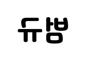 KPOP idol TXT  범규 (Choi Beom-gyu, Beomgyu) Printable Hangul name fan sign & fan board resources Reversed