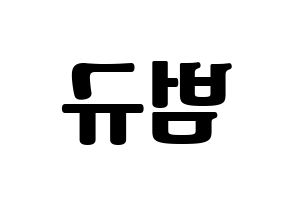 KPOP idol TXT  범규 (Choi Beom-gyu, Beomgyu) Printable Hangul name fan sign, fanboard resources for light sticks Reversed