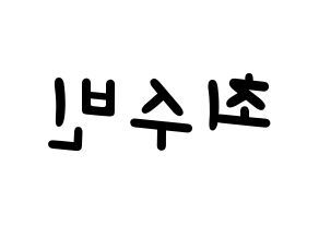 KPOP idol TXT  수빈 (Choi Soo-bin, Soobin) Printable Hangul name fan sign, fanboard resources for light sticks Reversed
