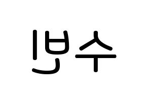 KPOP idol TXT  수빈 (Choi Soo-bin, Soobin) Printable Hangul name Fansign Fanboard resources for concert Reversed