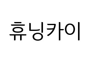 KPOP idol TXT  휴닝카이 (Kai Kamal Huening, Hueningkai) Printable Hangul name fan sign, fanboard resources for light sticks Normal