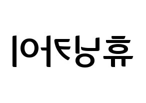KPOP idol TXT  휴닝카이 (Kai Kamal Huening, Hueningkai) Printable Hangul name fan sign, fanboard resources for concert Reversed