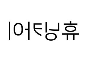 KPOP idol TXT  휴닝카이 (Kai Kamal Huening, Hueningkai) Printable Hangul name fan sign, fanboard resources for LED Reversed