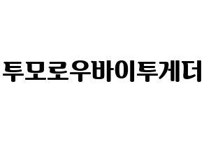 KPOP idol TXT Printable Hangul fan sign, fanboard resources for light sticks Normal