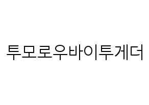 KPOP idol TXT Printable Hangul fan sign, fanboard resources for light sticks Normal
