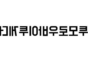 KPOP idol TXT Printable Hangul Fansign concert board resources Reversed