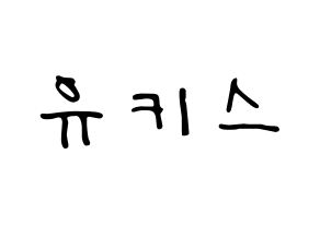 KPOP idol U-KISS Printable Hangul fan sign, concert board resources for LED Normal