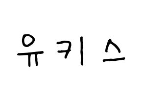 KPOP idol U-KISS Printable Hangul fan sign, concert board resources for light sticks Normal