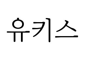 KPOP idol U-KISS Printable Hangul fan sign & concert board resources Normal
