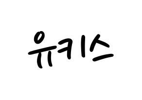 KPOP idol U-KISS Printable Hangul fan sign, concert board resources for LED Normal