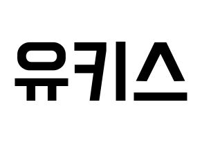 KPOP idol U-KISS Printable Hangul Fansign concert board resources Normal