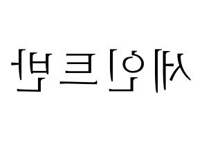 KPOP idol VAV  세인트반 (Lee Geum-hyuk, St.Van) Printable Hangul name fan sign & fan board resources Reversed