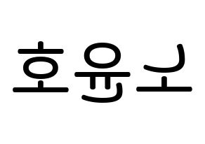 KPOP idol VAV  에이노 (Noh Yoon-ho, Ayno) Printable Hangul name Fansign Fanboard resources for concert Reversed