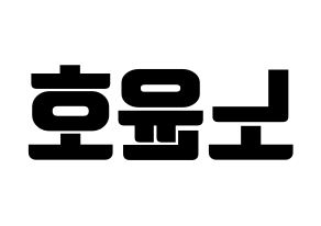 KPOP idol VAV  에이노 (Noh Yoon-ho, Ayno) Printable Hangul name fan sign, fanboard resources for light sticks Reversed