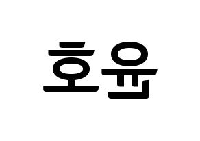 KPOP idol VAV  에이노 (Noh Yoon-ho, Ayno) Printable Hangul name fan sign, fanboard resources for concert Reversed