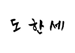 KPOP idol VICTON  도한세 (Do Han-se, Do Han-se) Printable Hangul name fan sign & fan board resources Normal
