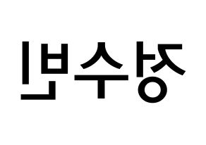 KPOP idol VICTON  정수빈 (Jung Su-bin, Jung Su-bin) Printable Hangul name Fansign Fanboard resources for concert Reversed