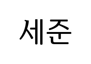 KPOP idol VICTON  임세준 (Lim Se-jun, Lim Se-jun) Printable Hangul name fan sign, fanboard resources for LED Normal