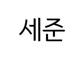 KPOP idol VICTON  임세준 (Lim Se-jun, Lim Se-jun) Printable Hangul name fan sign, fanboard resources for light sticks Normal