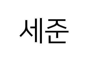 KPOP idol VICTON  임세준 (Lim Se-jun, Lim Se-jun) Printable Hangul name fan sign, fanboard resources for LED Normal