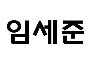 KPOP idol VICTON  임세준 (Lim Se-jun, Lim Se-jun) Printable Hangul name fan sign & fan board resources Normal