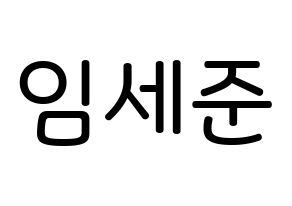 KPOP idol VICTON  임세준 (Lim Se-jun, Lim Se-jun) Printable Hangul name Fansign Fanboard resources for concert Normal