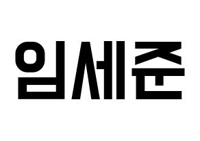 KPOP idol VICTON  임세준 (Lim Se-jun, Lim Se-jun) Printable Hangul name fan sign, fanboard resources for light sticks Normal