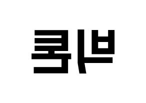 KPOP idol VICTON Printable Hangul Fansign concert board resources Reversed
