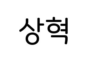 KPOP idol VIXX  혁 (Han Sang-hyuk, HYUK) Printable Hangul name Fansign Fanboard resources for concert Normal