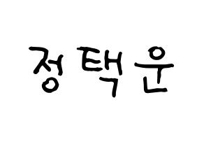 KPOP idol VIXX  레오 (Jung Taek-woon, LEO) Printable Hangul name fan sign, fanboard resources for concert Normal