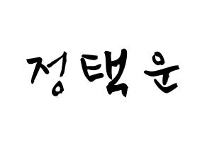 KPOP idol VIXX  레오 (Jung Taek-woon, LEO) Printable Hangul name fan sign & fan board resources Normal