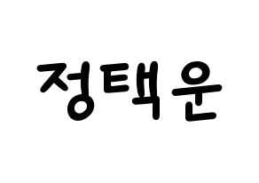 KPOP idol VIXX  레오 (Jung Taek-woon, LEO) Printable Hangul name fan sign, fanboard resources for light sticks Normal