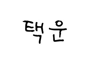 KPOP idol VIXX  레오 (Jung Taek-woon, LEO) Printable Hangul name fan sign, fanboard resources for concert Normal