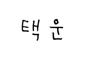 KPOP idol VIXX  레오 (Jung Taek-woon, LEO) Printable Hangul name Fansign Fanboard resources for concert Normal
