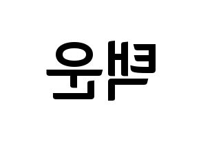 KPOP idol VIXX  레오 (Jung Taek-woon, LEO) Printable Hangul name fan sign, fanboard resources for concert Reversed