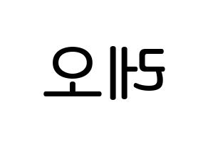 KPOP idol VIXX  레오 (Jung Taek-woon, LEO) Printable Hangul name Fansign Fanboard resources for concert Reversed