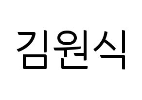 KPOP idol VIXX  라비 (Kim Won-shik, RAVI) Printable Hangul name fan sign, fanboard resources for light sticks Normal
