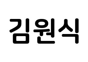 KPOP idol VIXX  라비 (Kim Won-shik, RAVI) Printable Hangul name fan sign, fanboard resources for concert Normal