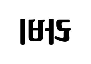 KPOP idol VIXX  라비 (Kim Won-shik, RAVI) Printable Hangul name fan sign, fanboard resources for light sticks Reversed