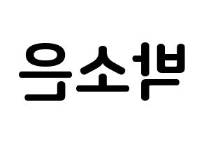 KPOP idol Weeekly  박소은 (Park So-eun, Park So-eun) Printable Hangul name fan sign, fanboard resources for concert Reversed