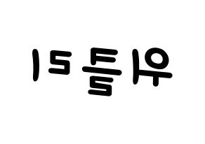 KPOP idol Weeekly Printable Hangul Fansign concert board resources Reversed