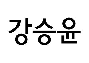 KPOP idol WINNER  강승윤 (Kang Seung-yoon, Seungyoon) Printable Hangul name Fansign Fanboard resources for concert Normal