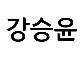 KPOP idol WINNER  강승윤 (Kang Seung-yoon, Seungyoon) Printable Hangul name fan sign, fanboard resources for concert Normal