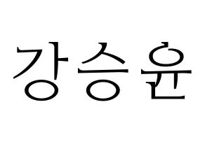 KPOP idol WINNER  강승윤 (Kang Seung-yoon, Seungyoon) Printable Hangul name fan sign & fan board resources Normal