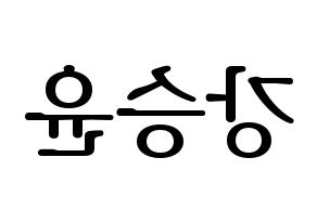 KPOP idol WINNER  강승윤 (Kang Seung-yoon, Seungyoon) Printable Hangul name fan sign, fanboard resources for LED Reversed