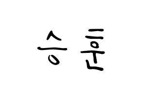 KPOP idol WINNER  이승훈 (Lee Seung-hoon, Seunghoon) Printable Hangul name fan sign, fanboard resources for LED Normal