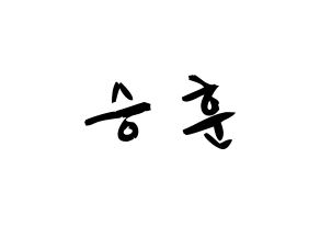 KPOP idol WINNER  이승훈 (Lee Seung-hoon, Seunghoon) Printable Hangul name fan sign & fan board resources Normal