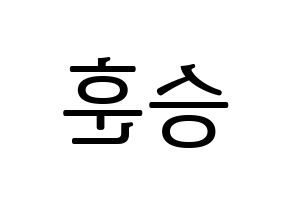KPOP idol WINNER  이승훈 (Lee Seung-hoon, Seunghoon) Printable Hangul name fan sign, fanboard resources for LED Reversed